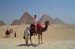 sites_camel